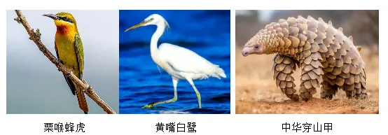 题目插图