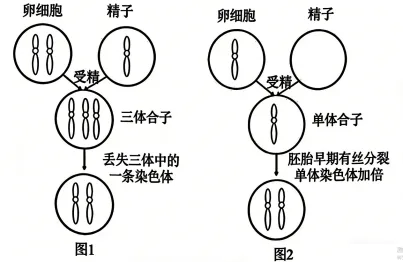 题目插图
