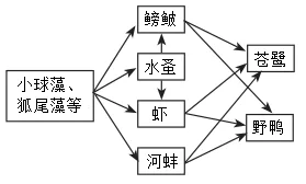 题目插图