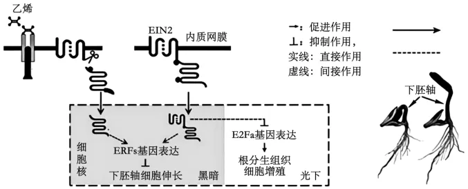 题目插图
