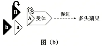 题目插图