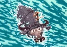 题目插图