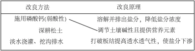 题目插图