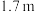选项图
