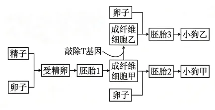 题目插图