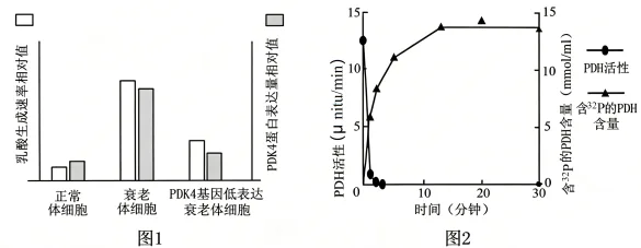 题目插图