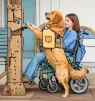 题目插图
