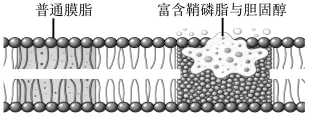 题目插图