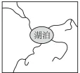选项图