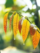 题目插图