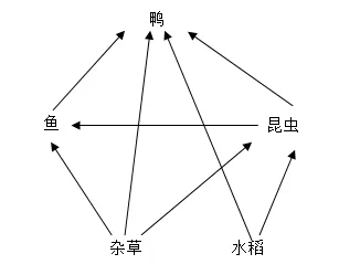 题目插图