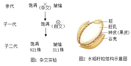 题目插图
