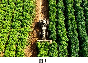 题目插图