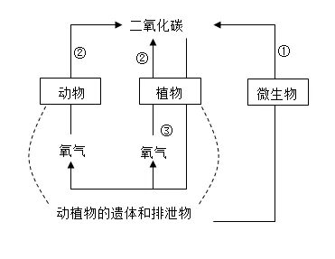 题目插图