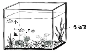 题目插图