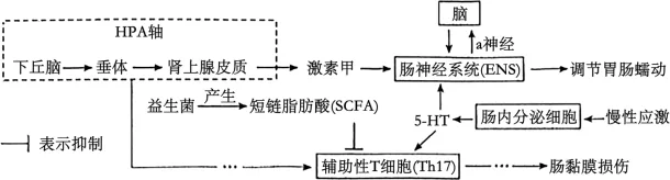 题目插图