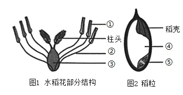 题目插图