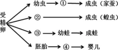 题目插图