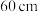 选项图