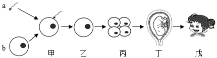 题目插图