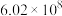 选项图
