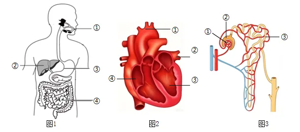 题目插图