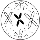 题目插图