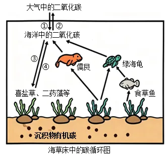 题目插图