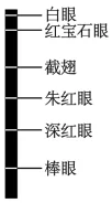 题目插图