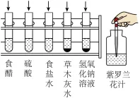 题目插图
