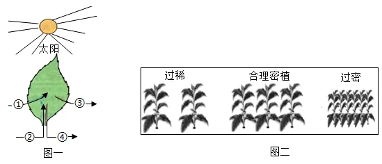 题目插图