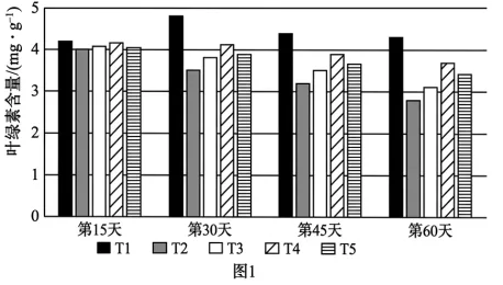 题目插图