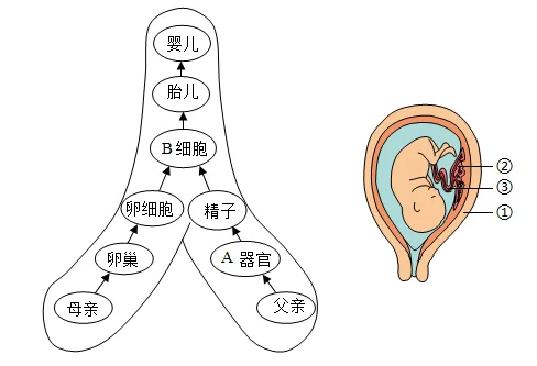 题目插图