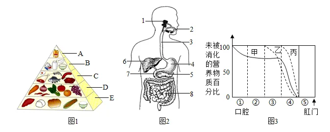题目插图