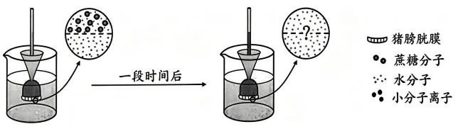 题目插图