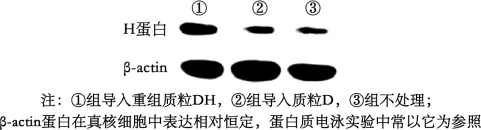 题目插图