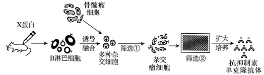 题目插图
