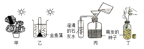 题目插图