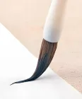 题目插图