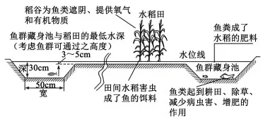 题目插图
