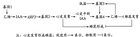 题目插图