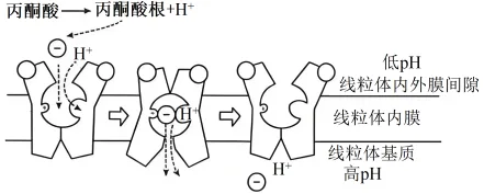 题目插图