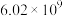 选项图