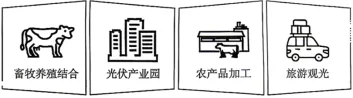 选项图