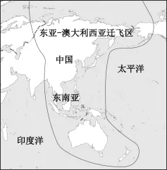 题目插图