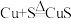 选项图
