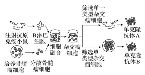 题目插图