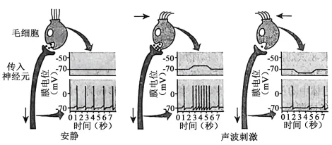 题目插图
