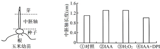 题目插图