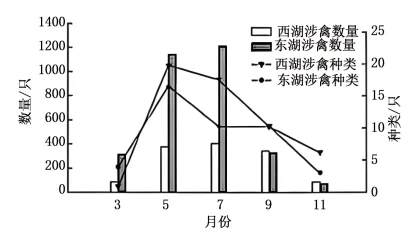 题目插图